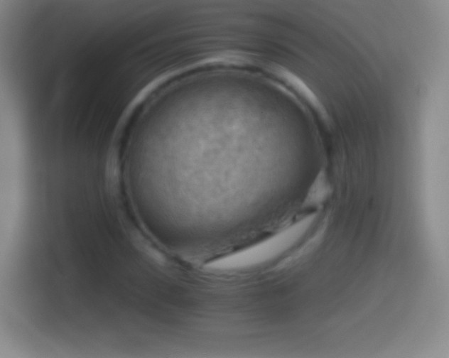 X0000114430923200910231231