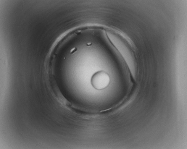 X0000114430926200910231231