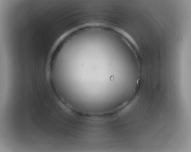 X0000114430927200910231231