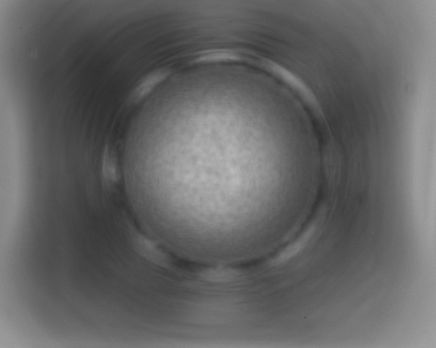 X0000114430929200910231231