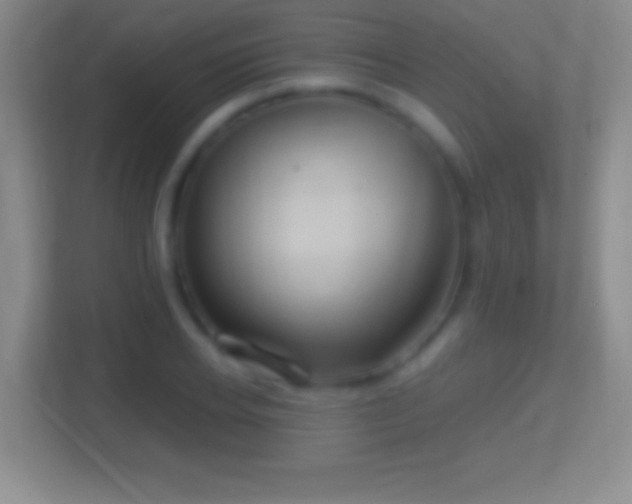 X0000114430934200910231231
