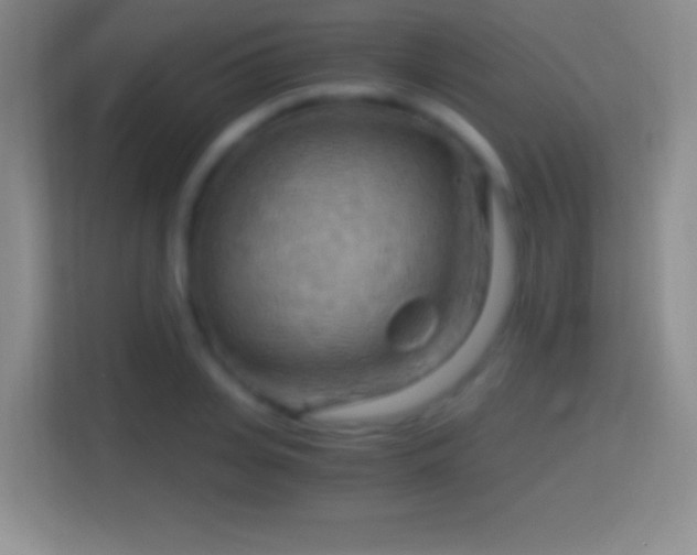 X0000114430935200910231231