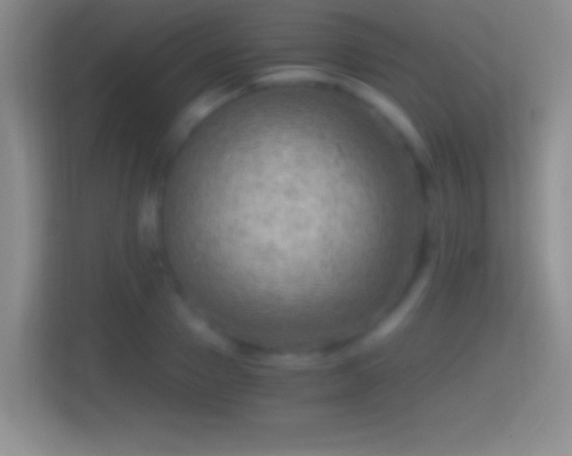 X0000114430937200910231231