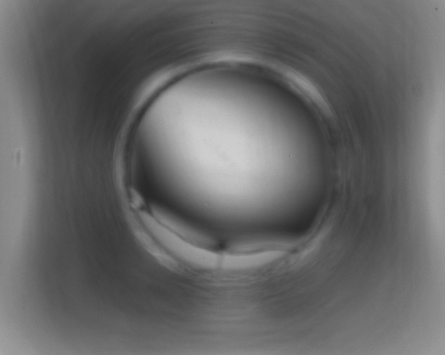 X0000114430942200910231231