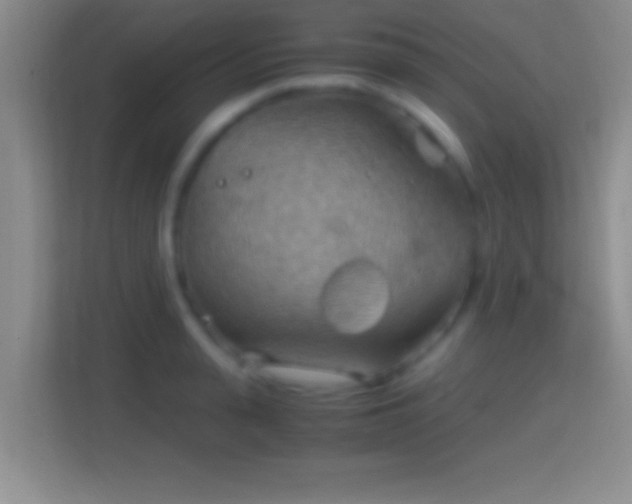 X0000114430943200910231231
