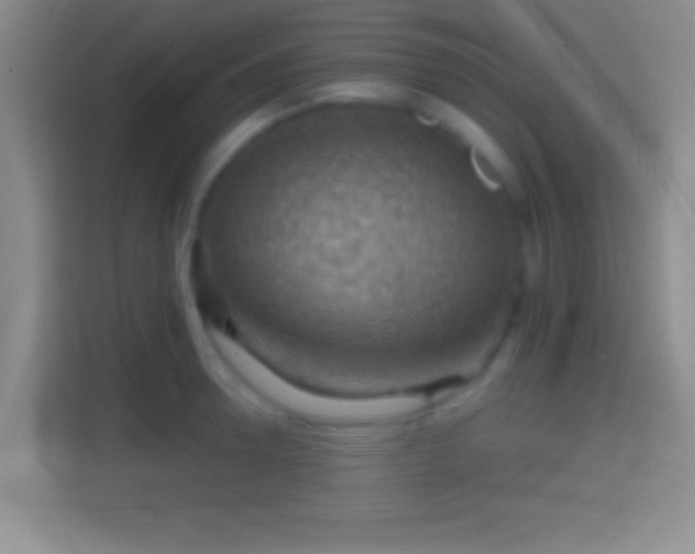 X0000114430946200910231231