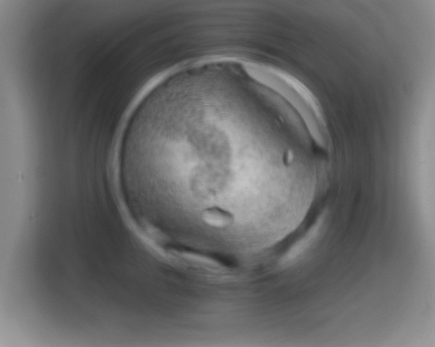 X0000114430949200910231231