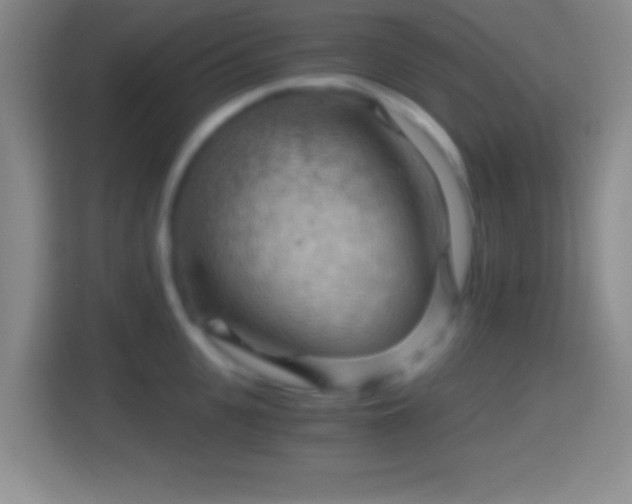 X0000114430951200910231231