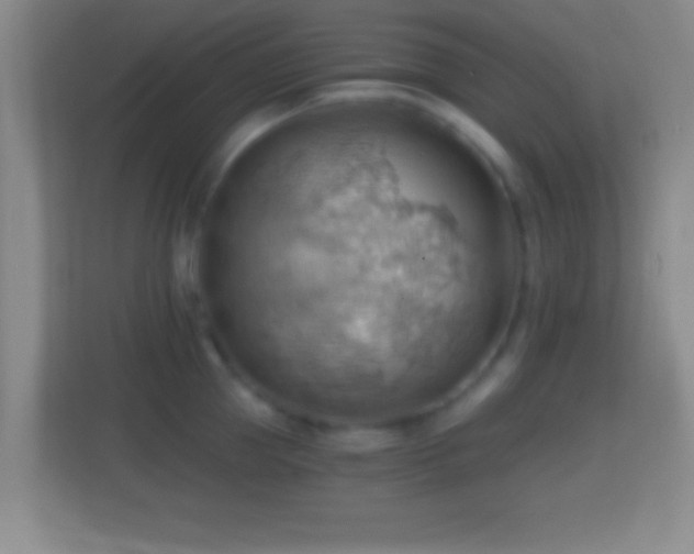 X0000114430953200910231231