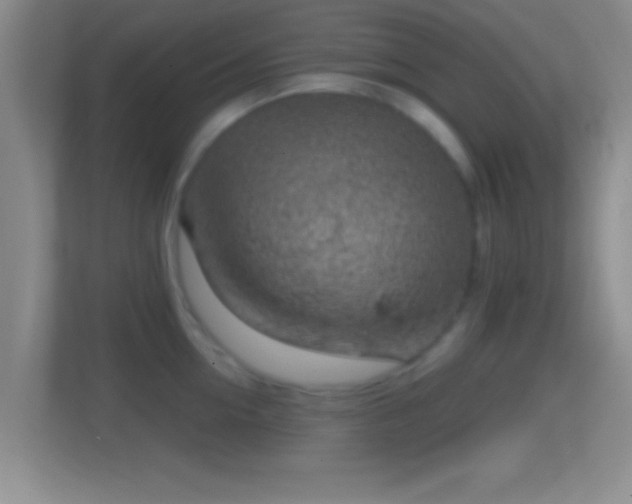 X0000114430954200910231231