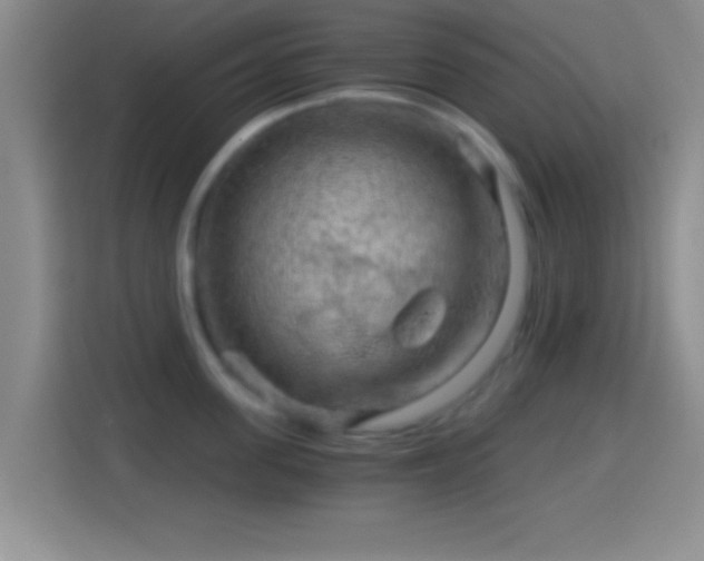 X0000114430955200910231231