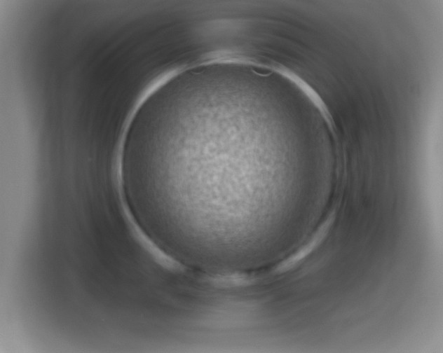 X0000114430957200910231231