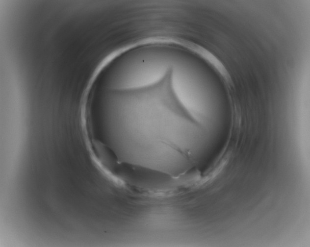 X0000114430958200910231231