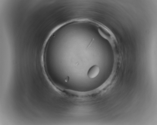 X0000114430959200910231231