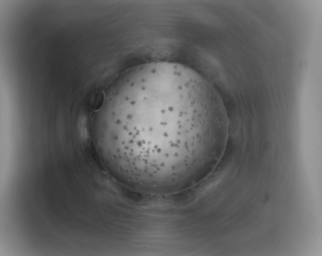 X0000114430962200910231230