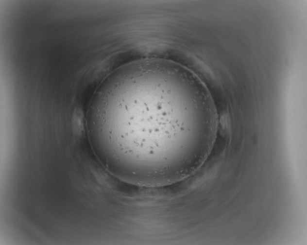 X0000114430963200910231230