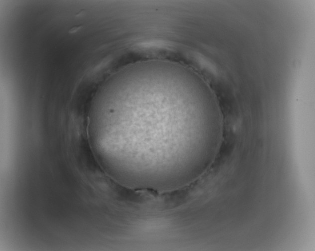 X0000114430965200910231230