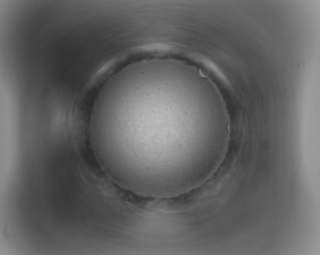 X0000114430967200910231230