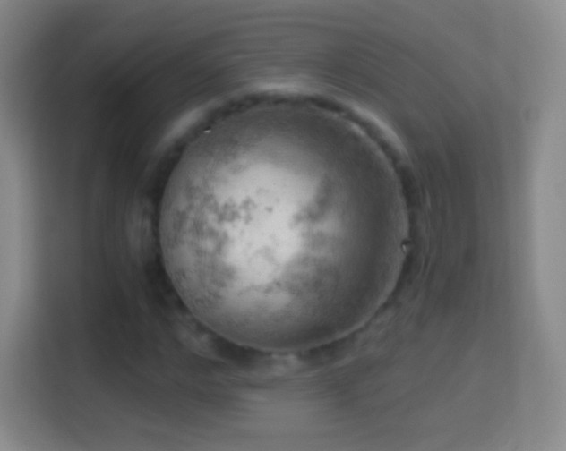 X0000114430968200910231230