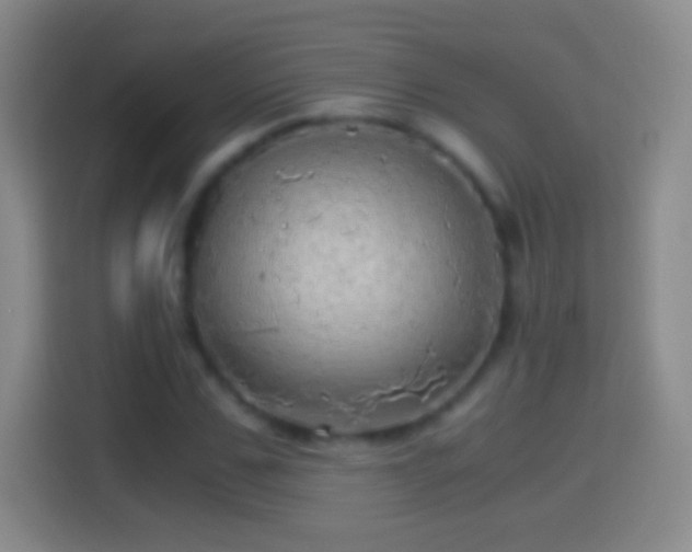 X0000114430971200910231230