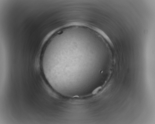 X0000114430972200910231230