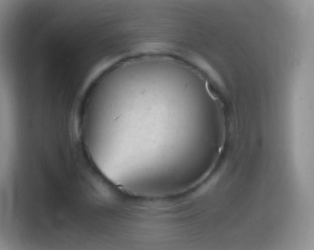 X0000114430973200910231230