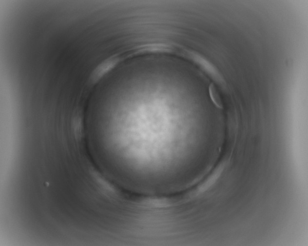 X0000114430977200910231230