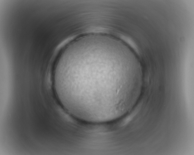 X0000114430979200910231230