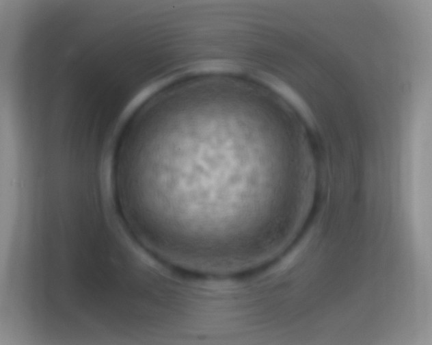 X0000114430983200910231230