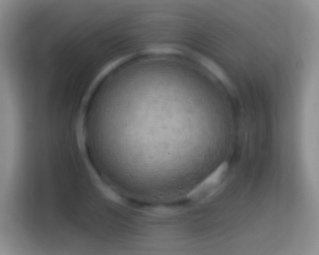 X0000114430984200910231230