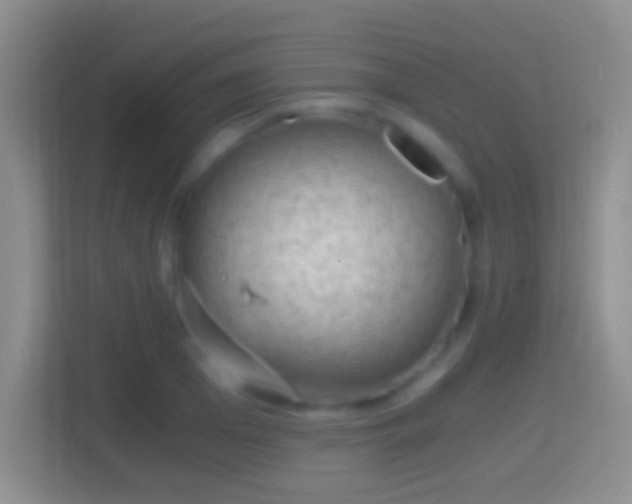 X0000114430985200910231230
