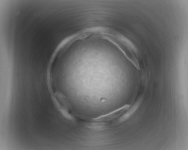 X0000114430989200910231230