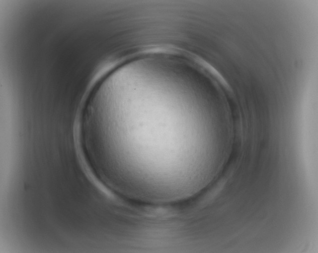 X0000114430991200910231230