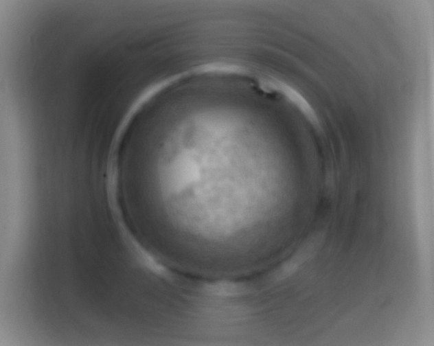 X0000114430992200910231230