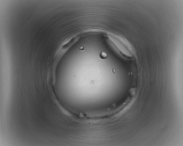 X0000114430993200910231230
