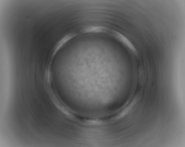 X0000114430994200910231230