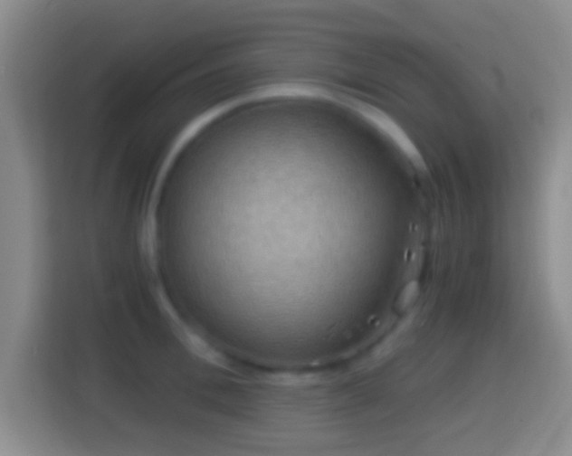 X0000114430996200910231230