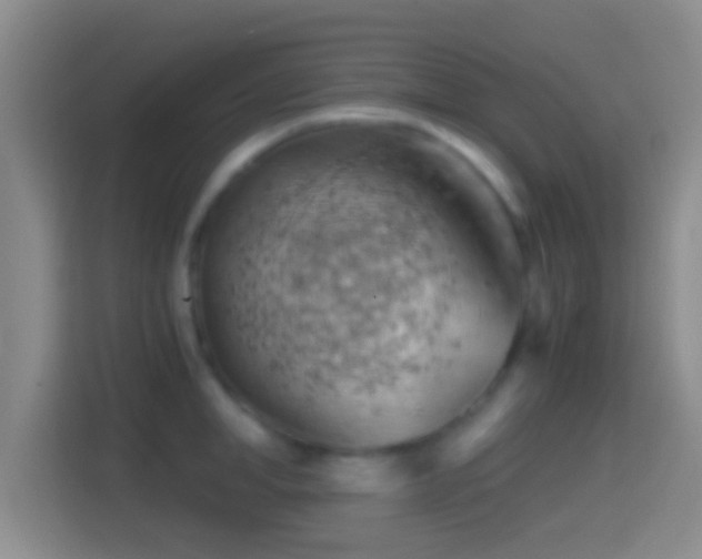 X0000114430998200910231230