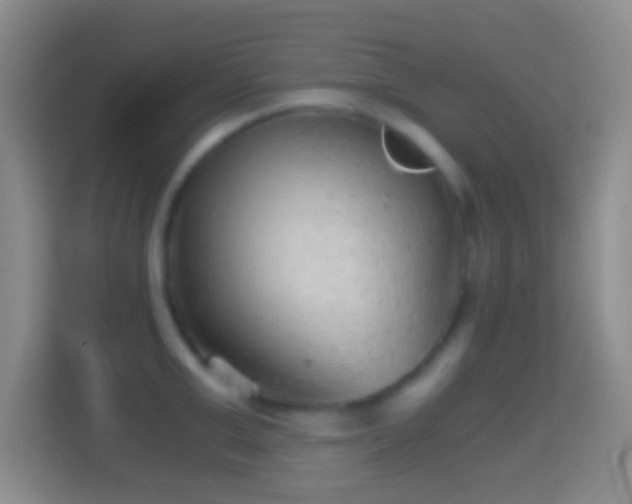 X0000114430999200910231230
