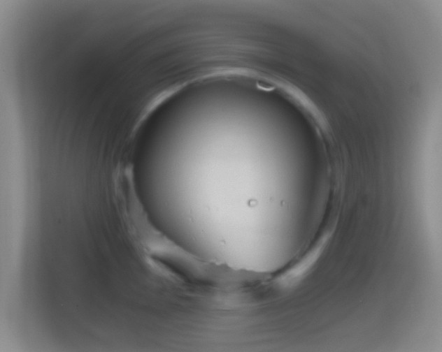 X0000114431001200910231230