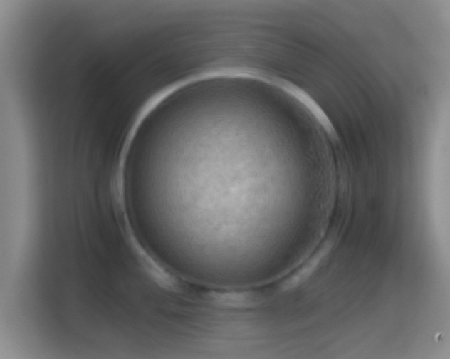 X0000114431004200910231230