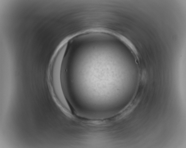 X0000114431005200910231230