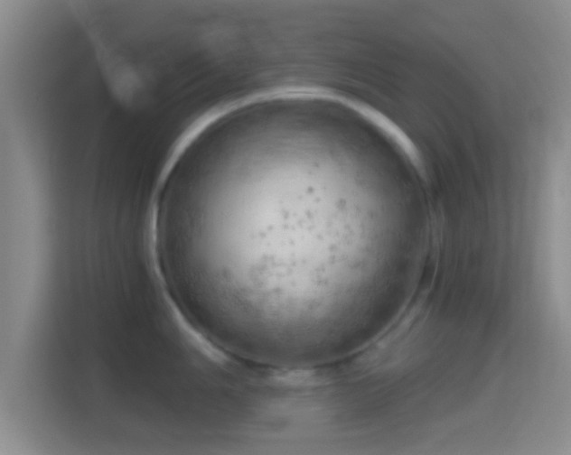 X0000114431006200910231230