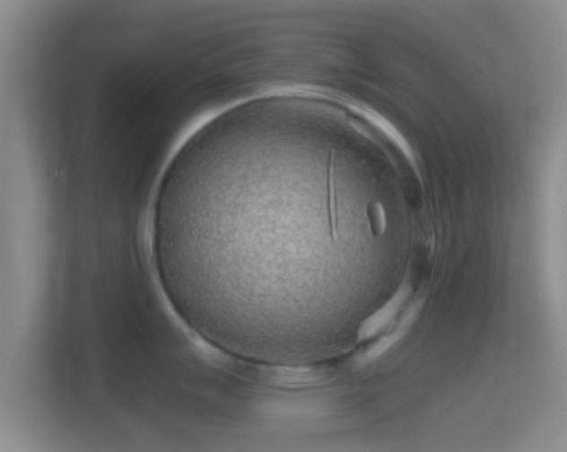 X0000114431007200910231230