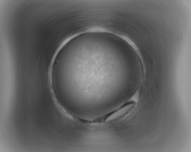 X0000114431008200910231230