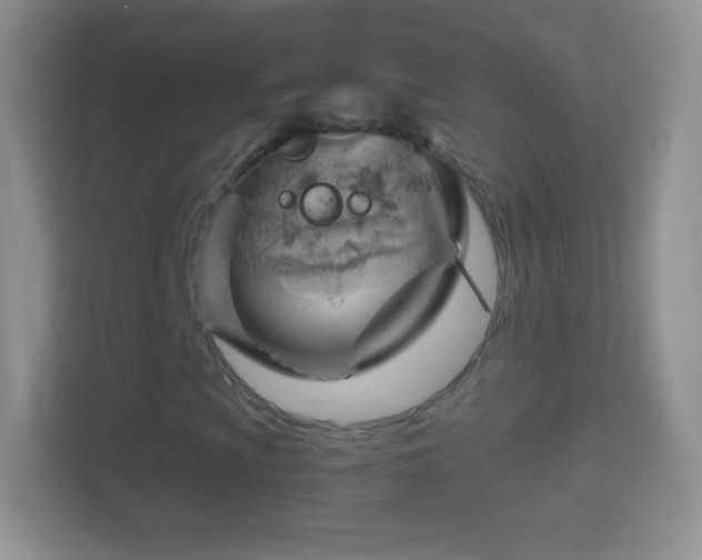 X0000114431009200910231229