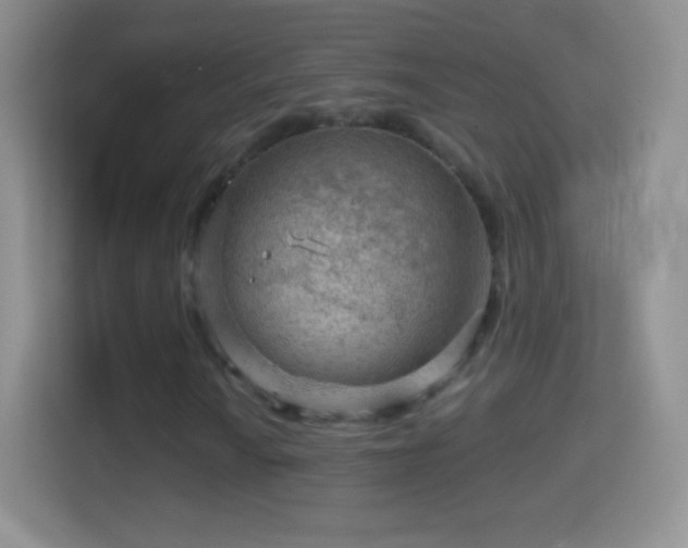 X0000114431010200910231229