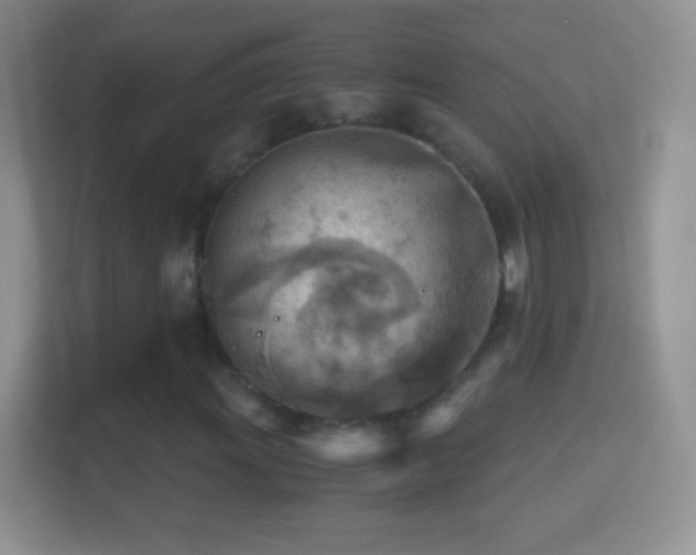 X0000114431011200910231229