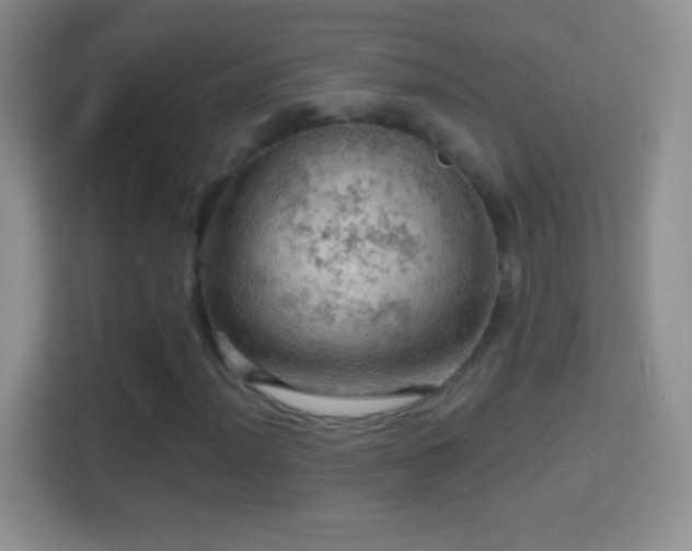 X0000114431012200910231229