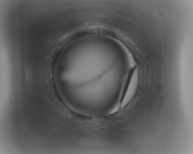X0000114431013200910231229